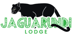 jaguar lodge
