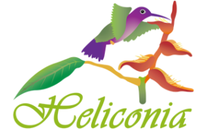 IHeliconia Hotel
